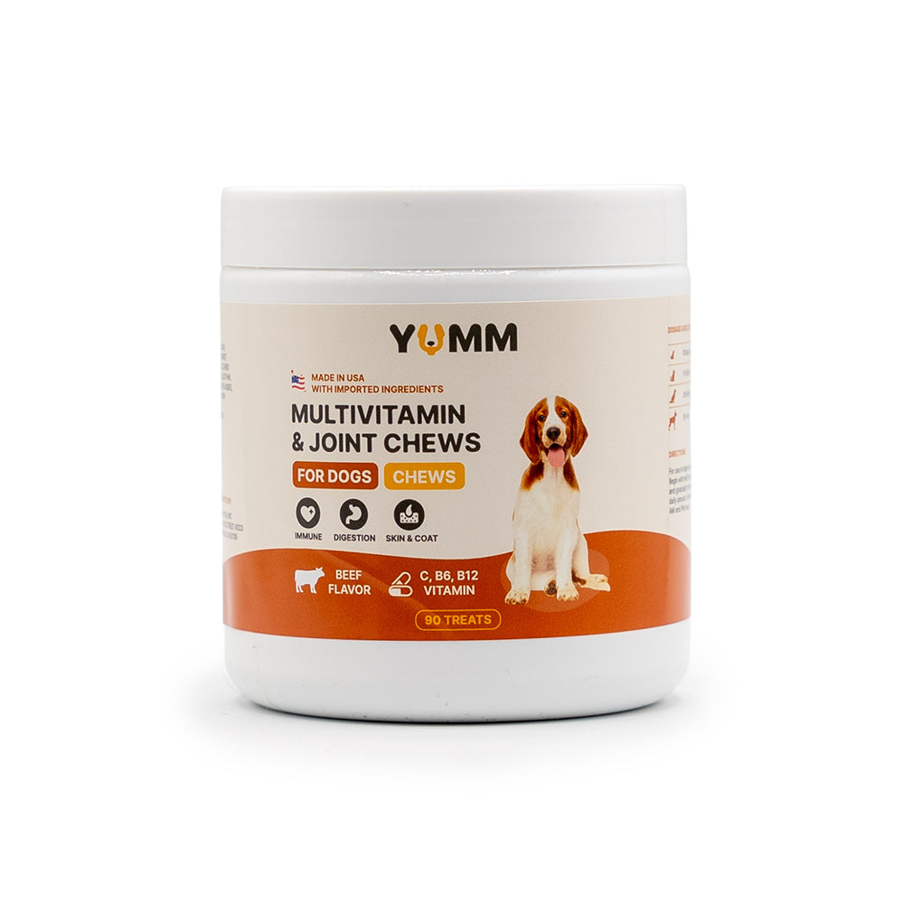 Senior Dog Health: Supporting Aging Dogs with Targeted Supplements