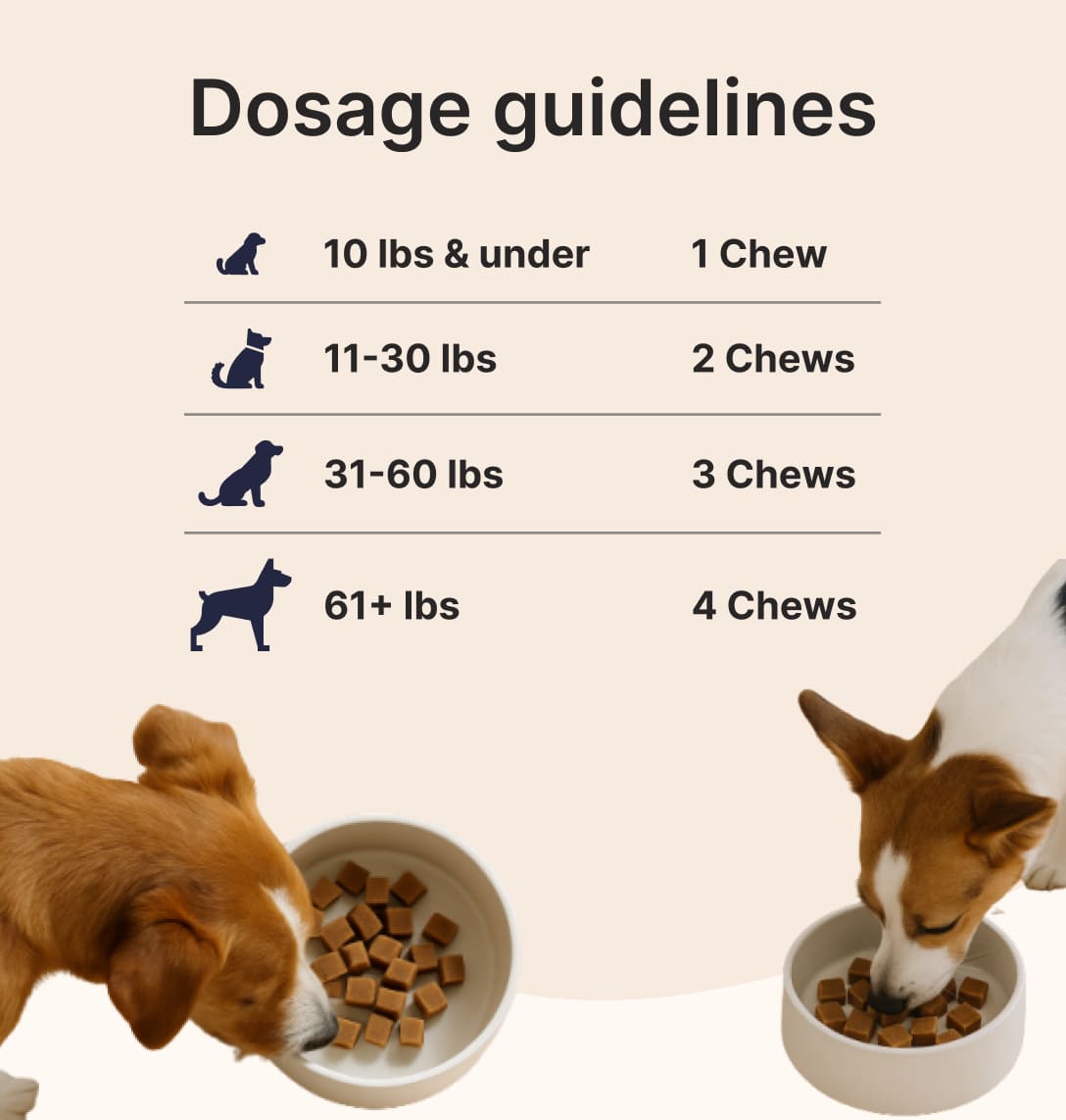 Daily Joint + Multivitamin Soft Chews for Dogs
