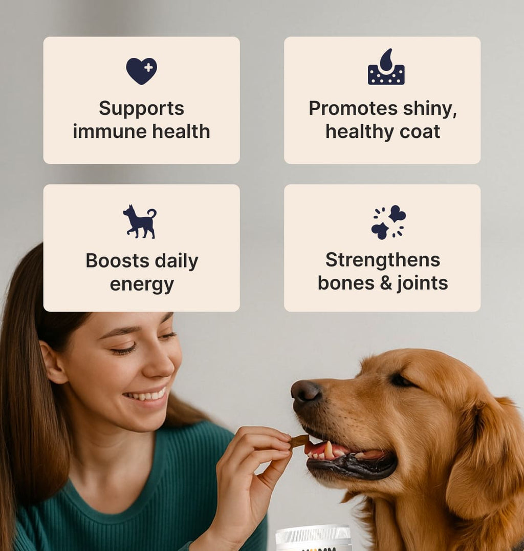 Daily Joint + Multivitamin Soft Chews for Dogs