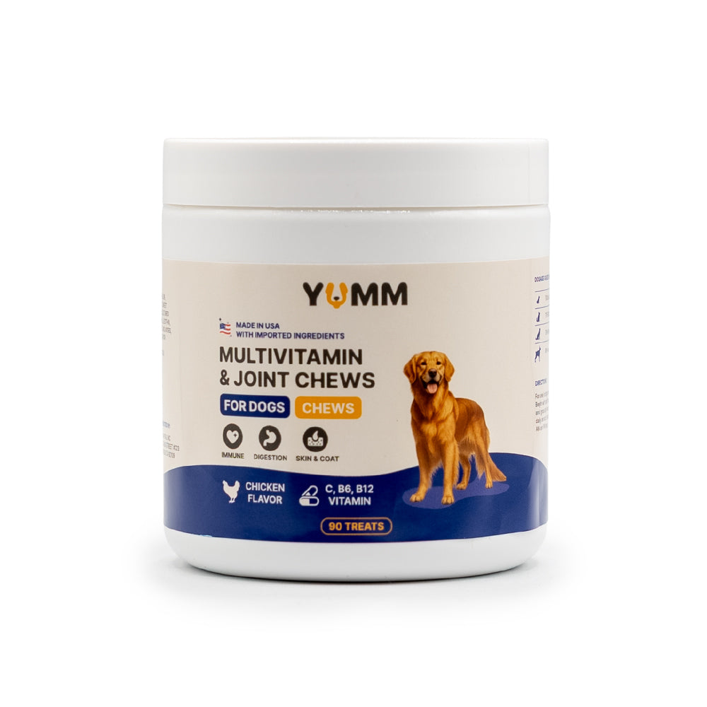 Yumm Multivitamin & Joint Chews for dogs container on a white background